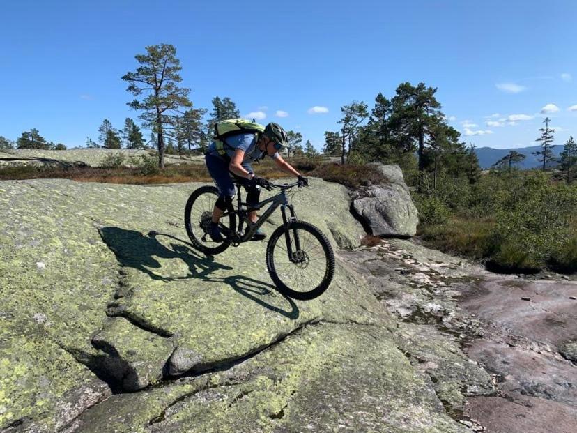 Vradal Panorama - Flott Hytte Pa Toppen Sinnes Exterior foto